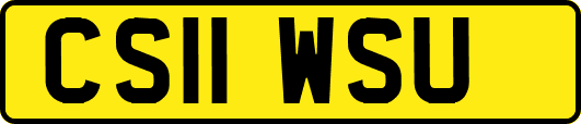 CS11WSU