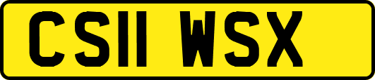 CS11WSX