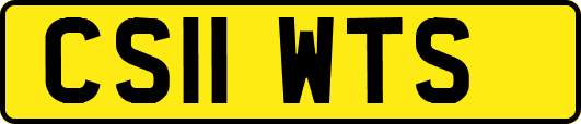 CS11WTS