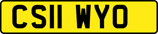 CS11WYO