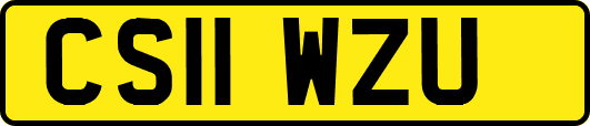 CS11WZU
