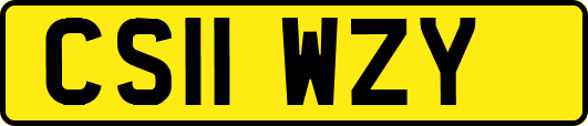CS11WZY