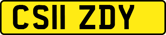 CS11ZDY