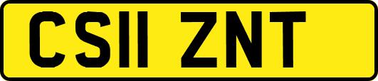 CS11ZNT