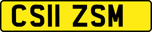 CS11ZSM