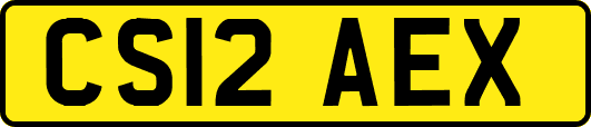 CS12AEX