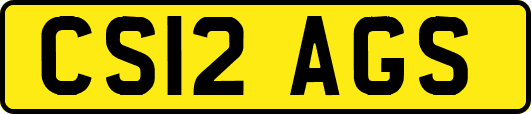 CS12AGS