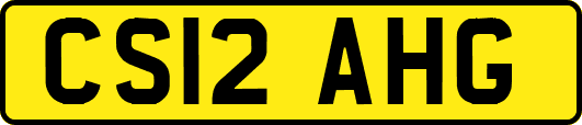 CS12AHG