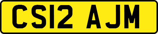 CS12AJM