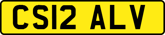 CS12ALV
