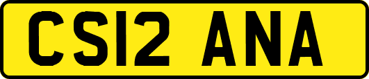 CS12ANA