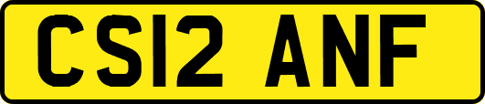 CS12ANF