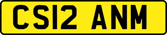 CS12ANM