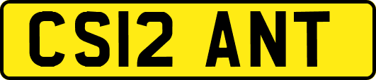 CS12ANT