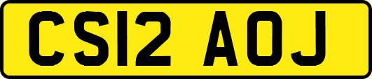 CS12AOJ