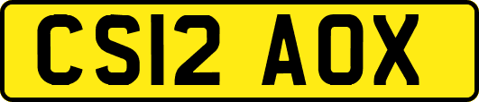 CS12AOX