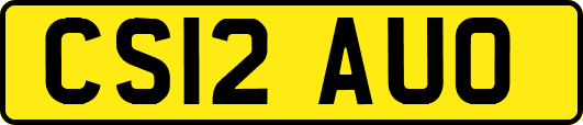 CS12AUO