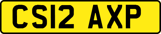 CS12AXP