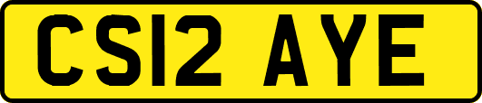 CS12AYE