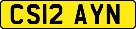 CS12AYN