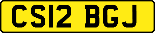 CS12BGJ