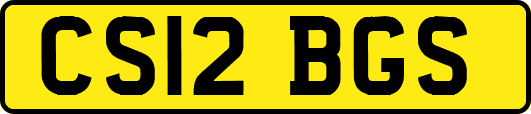 CS12BGS
