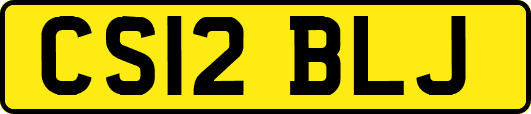CS12BLJ