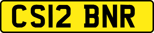 CS12BNR