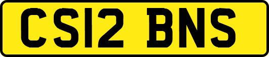 CS12BNS