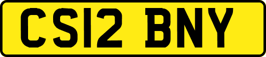 CS12BNY