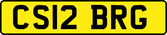 CS12BRG