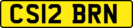 CS12BRN