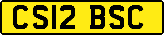 CS12BSC