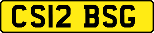 CS12BSG