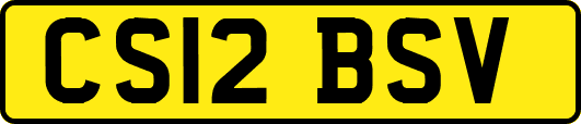 CS12BSV