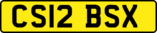 CS12BSX