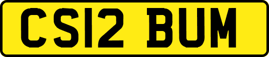 CS12BUM