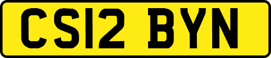 CS12BYN