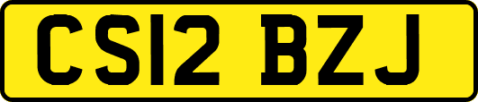 CS12BZJ