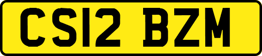 CS12BZM