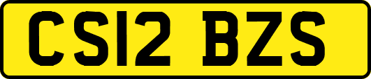 CS12BZS