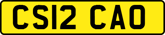 CS12CAO