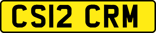 CS12CRM