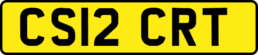 CS12CRT
