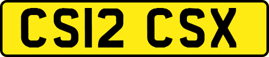 CS12CSX