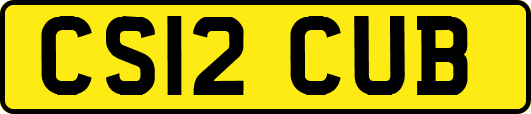 CS12CUB