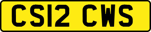 CS12CWS