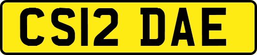 CS12DAE