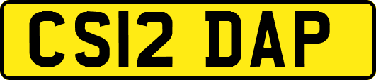 CS12DAP