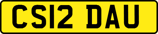 CS12DAU
